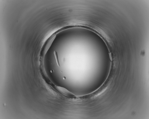 X0000091990885200709131451
