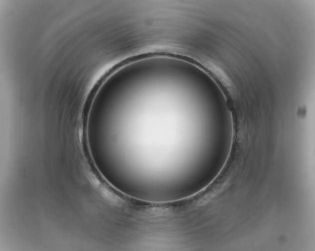 X0000091990888200709131451