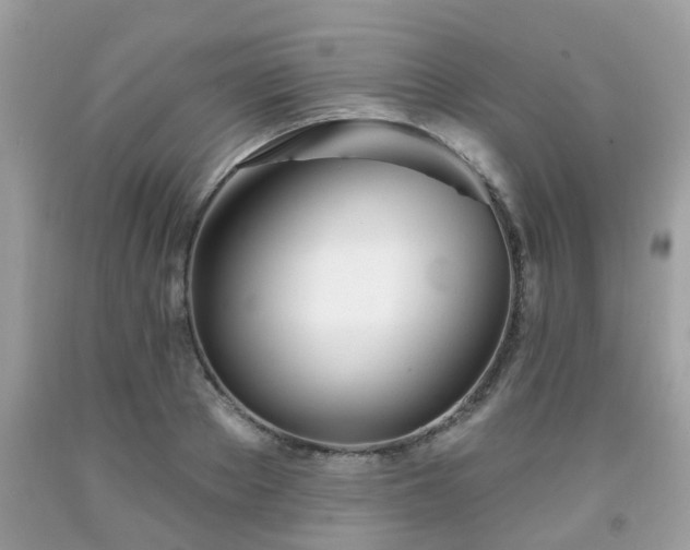 X0000091990889200709131451