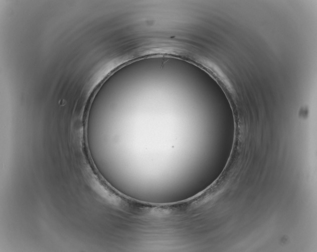 X0000091990890200709131451
