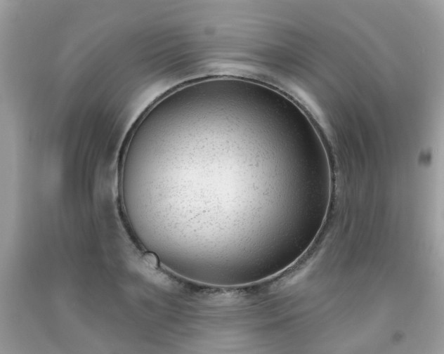 X0000091990891200709131451