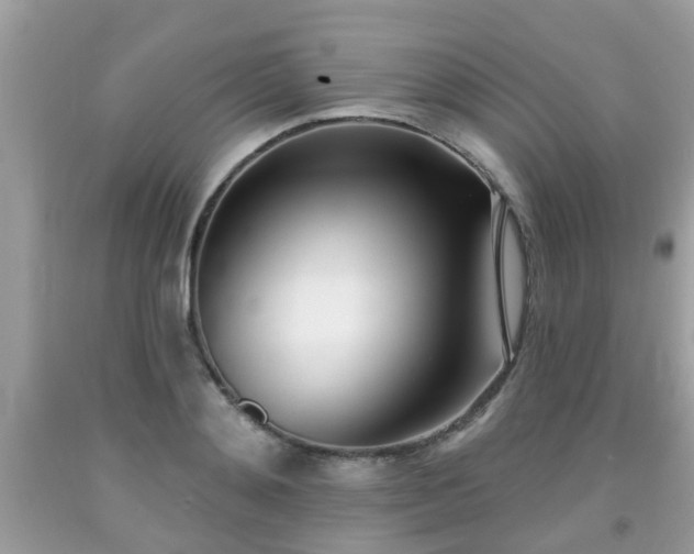 X0000091990892200709131451