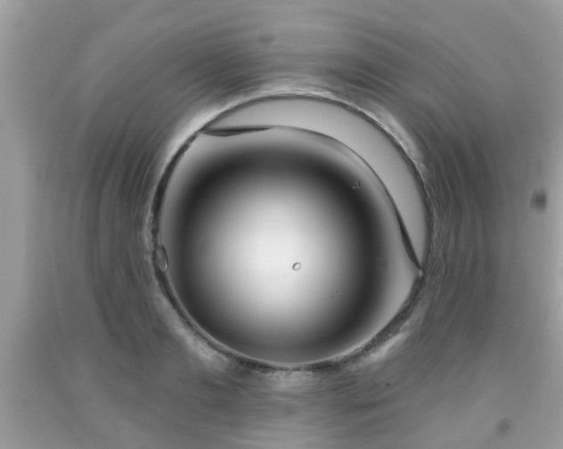 X0000091990893200709131451