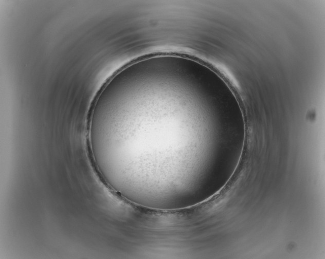 X0000091990895200709131451