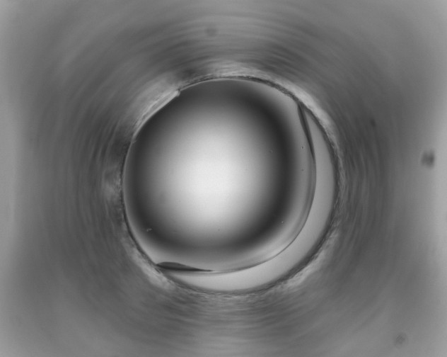 X0000091990897200709131451