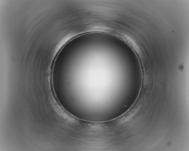 X0000091990899200709131451