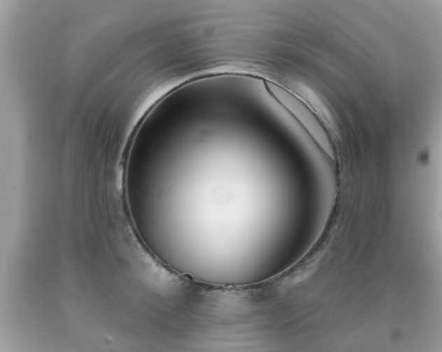 X0000091990900200709131451