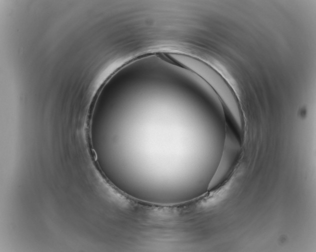 X0000091990901200709131451
