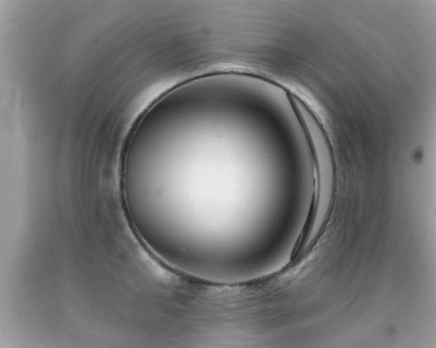 X0000091990902200709131451