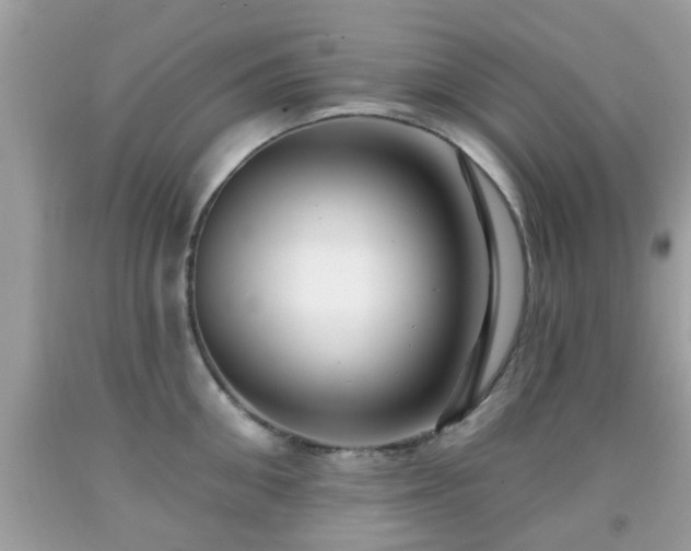 X0000091990906200709131451