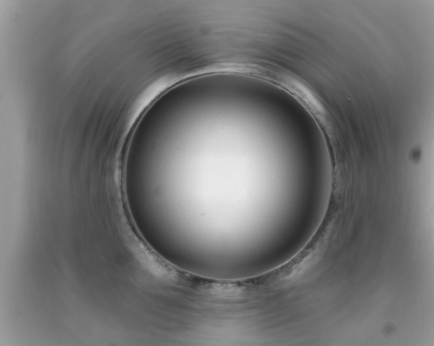 X0000091990907200709131451