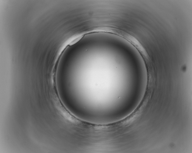 X0000091990908200709131451
