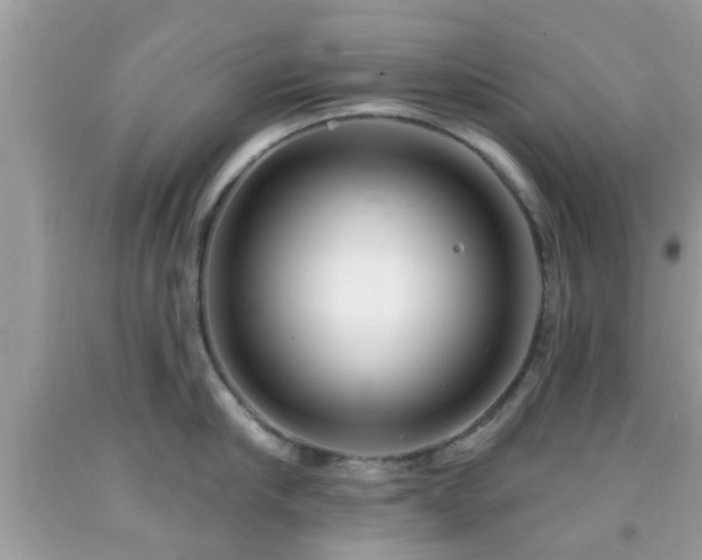 X0000091990910200709131451