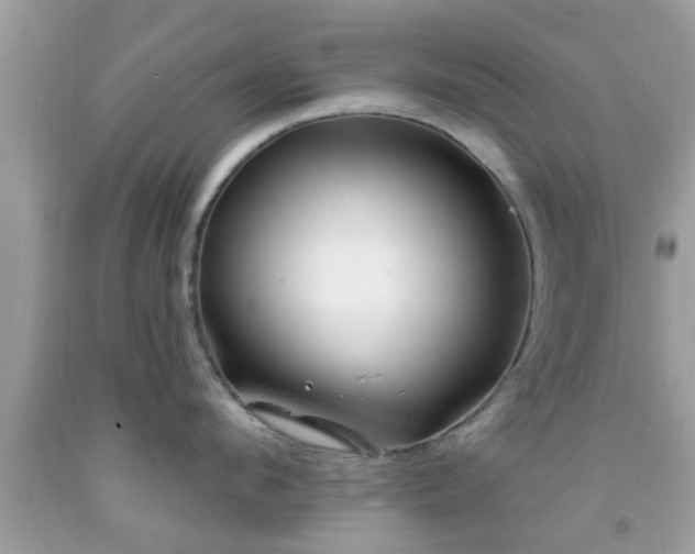 X0000091990912200709131451