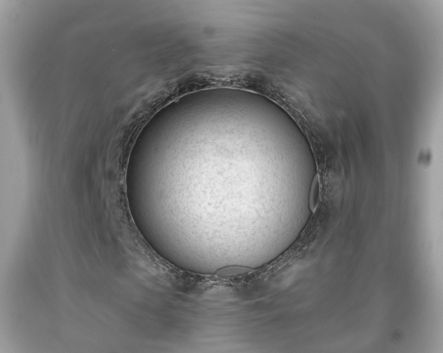 X0000091990913200709131450
