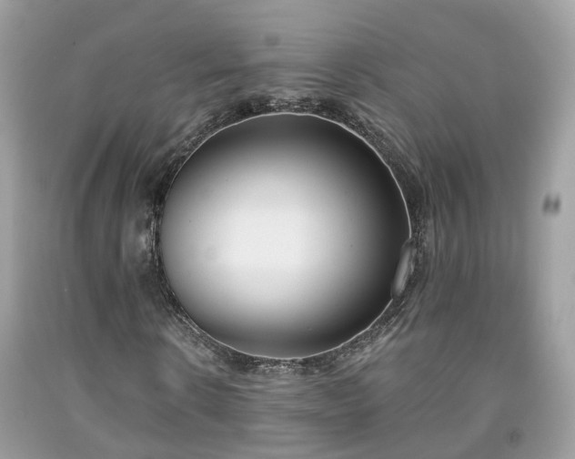X0000091990914200709131450