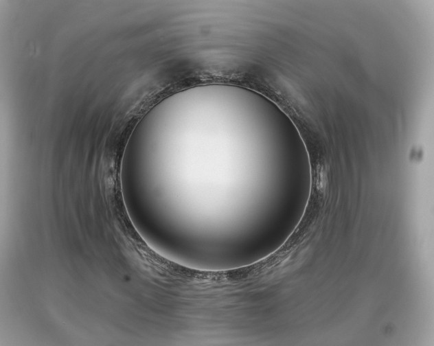 X0000091990915200709131450