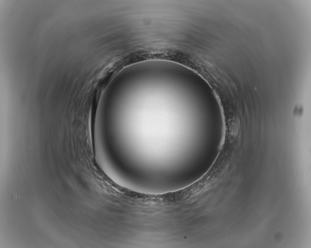 X0000091990916200709131450