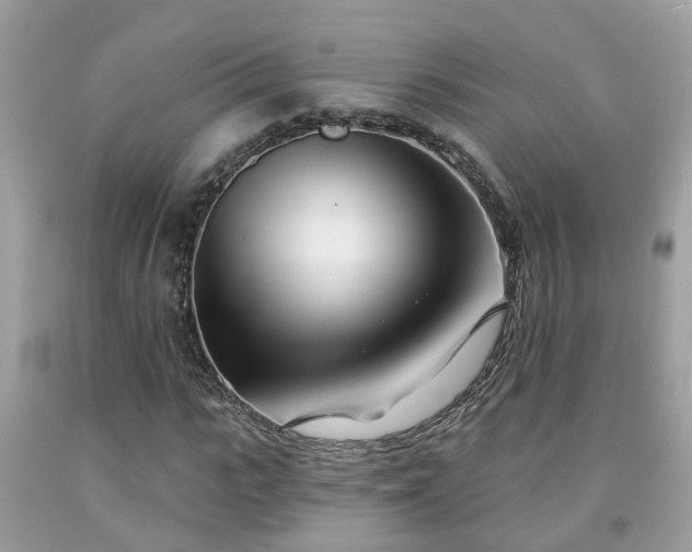 X0000091990919200709131450