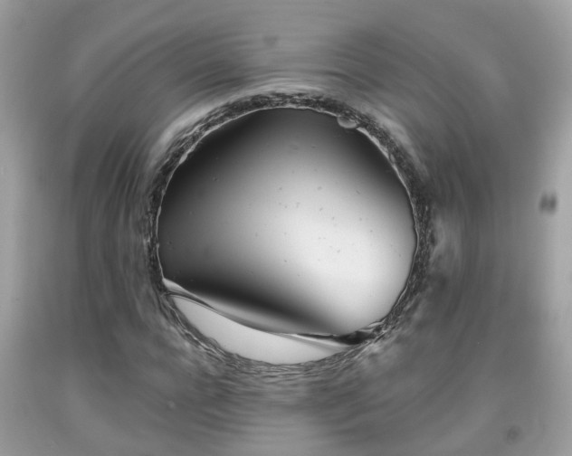 X0000091990920200709131450