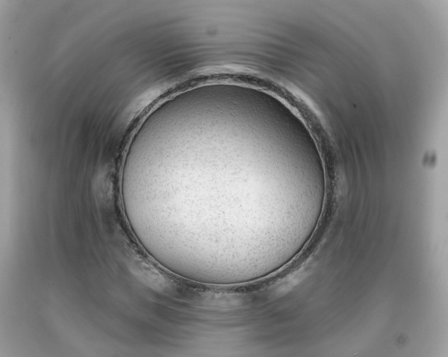 X0000091990921200709131450