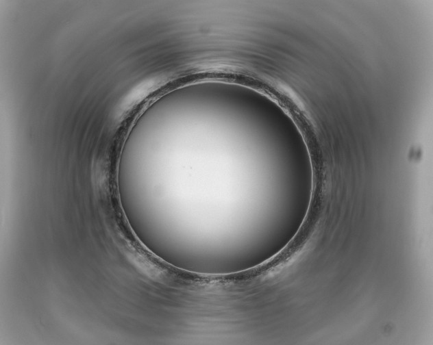 X0000091990922200709131450