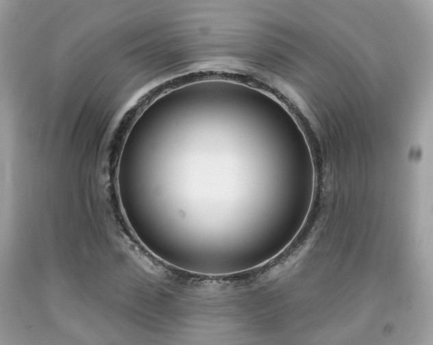 X0000091990923200709131450