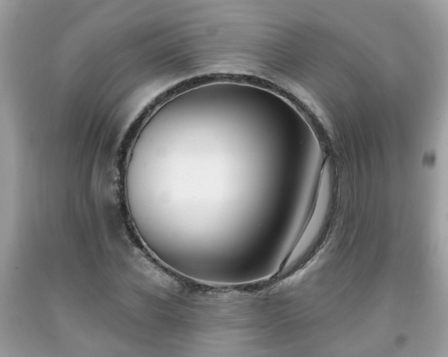 X0000091990926200709131450