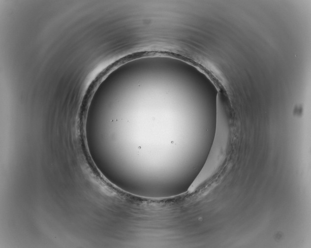 X0000091990928200709131451