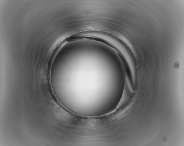 X0000091990930200709131451