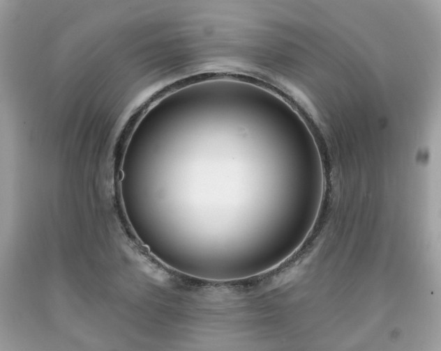 X0000091990931200709131451