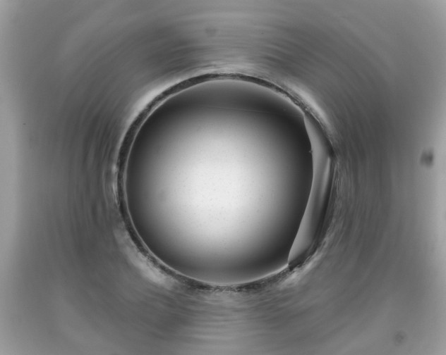 X0000091990932200709131451