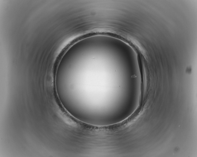 X0000091990934200709131451