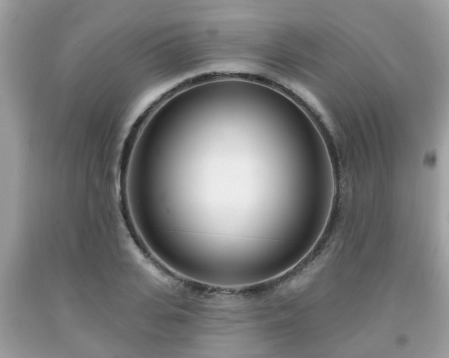 X0000091990935200709131451