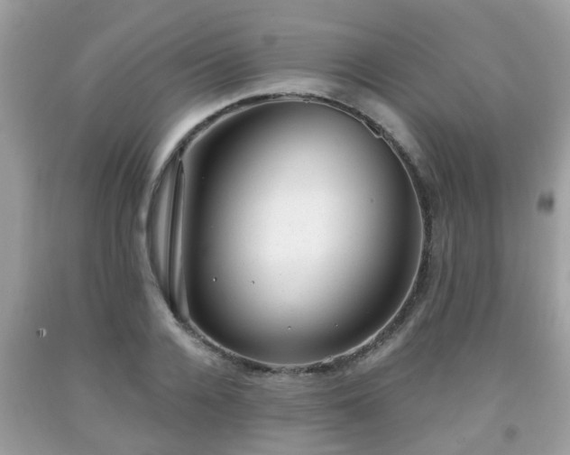 X0000091990936200709131451