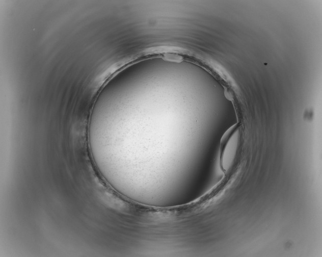 X0000091990937200709131451
