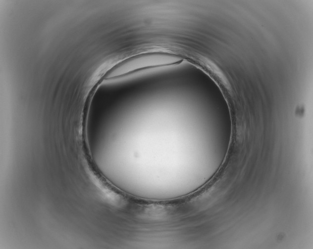 X0000091990938200709131451