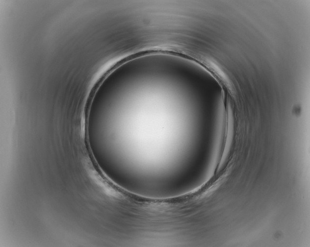 X0000091990940200709131451