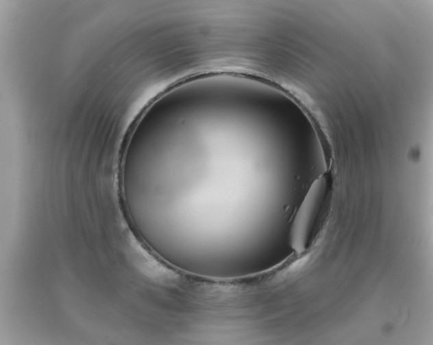 X0000091990941200709131451