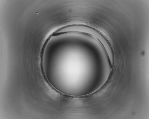 X0000091990942200709131451