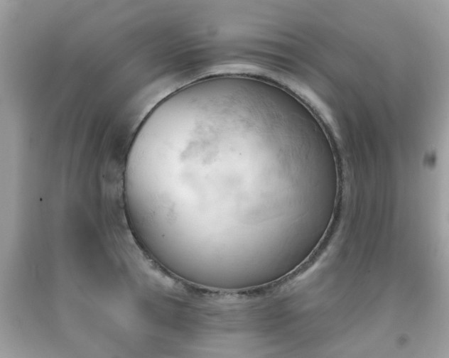 X0000091990945200709131451