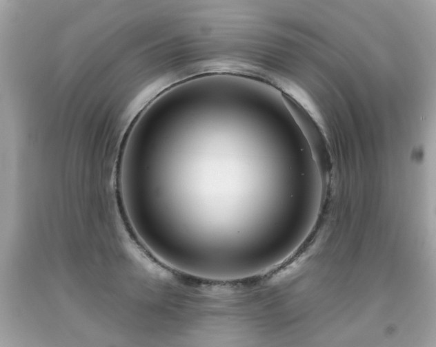 X0000091990946200709131451