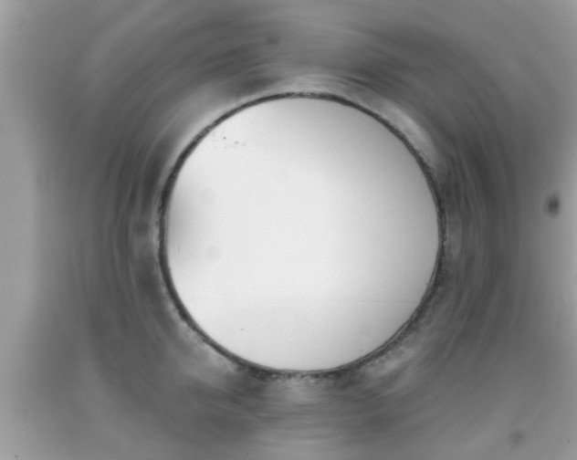 X0000091990950200709131451
