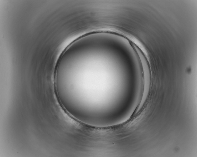 X0000091990951200709131451