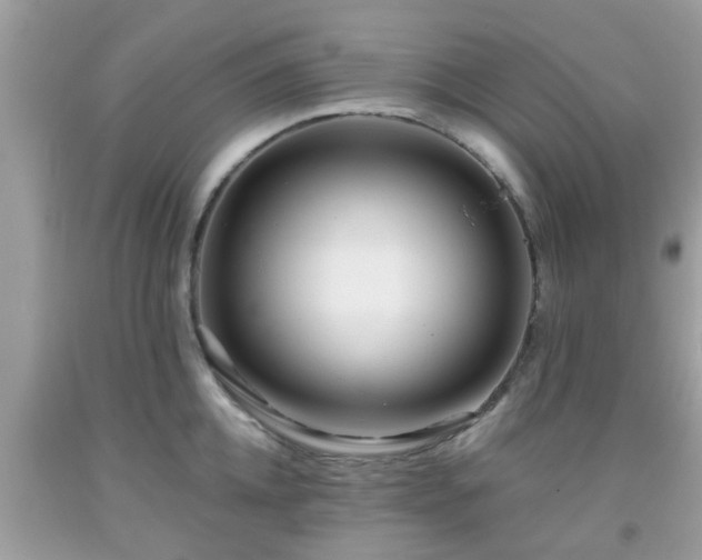 X0000091990952200709131451