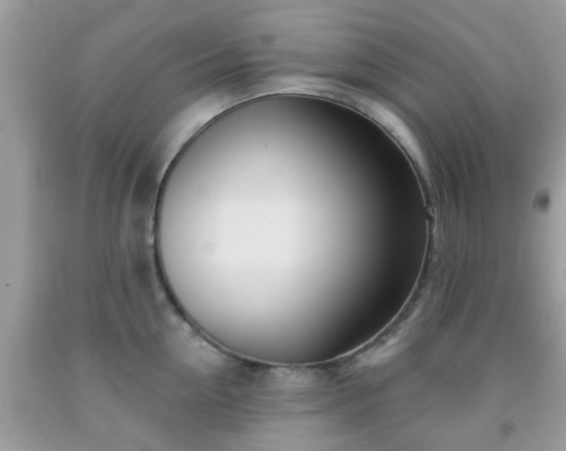 X0000091990954200709131451