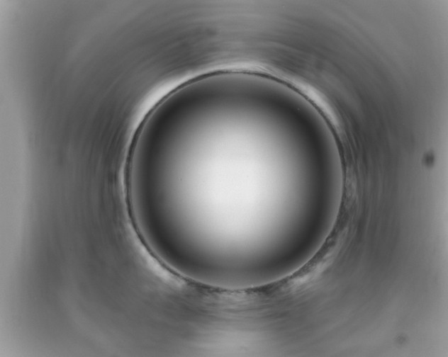 X0000091990959200709131451