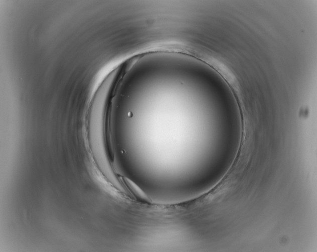 X0000091990960200709131451