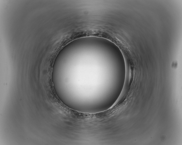 X0000091990961200709131450