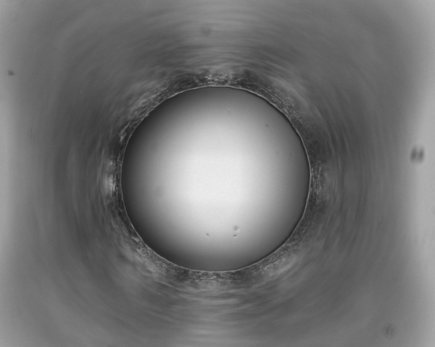X0000091990962200709131450